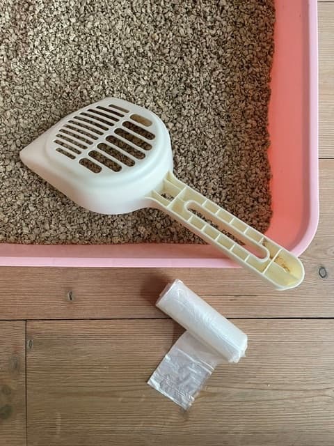 Kattenbak met schepje en zakje