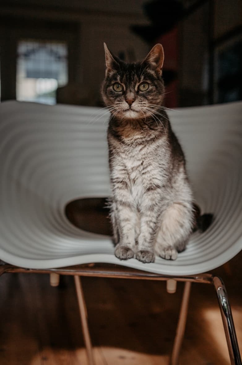Foto van Pop