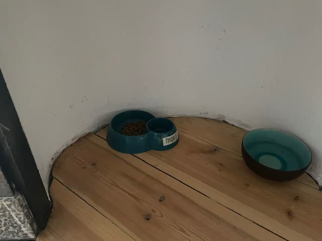 Voerbakje en waterbak van Moos op de houten schouw